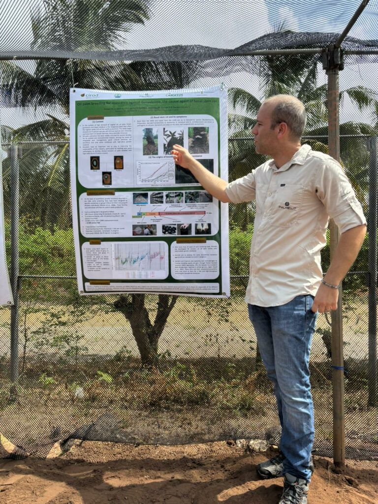 Dr Pernaci explaining our test to categorise the genetic resistance of PalmElit's material on Ganoderma.